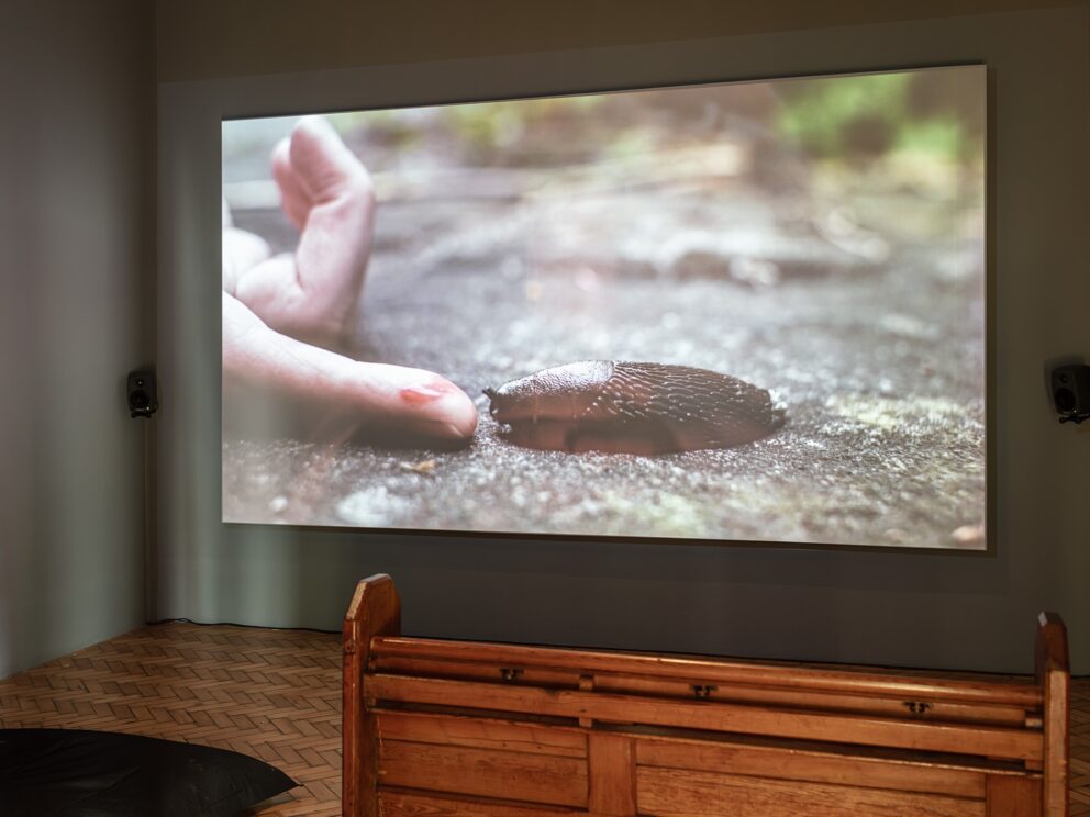 An installation view of Abi Palmer's exhibition Slime Mother, featuring a projection of a film