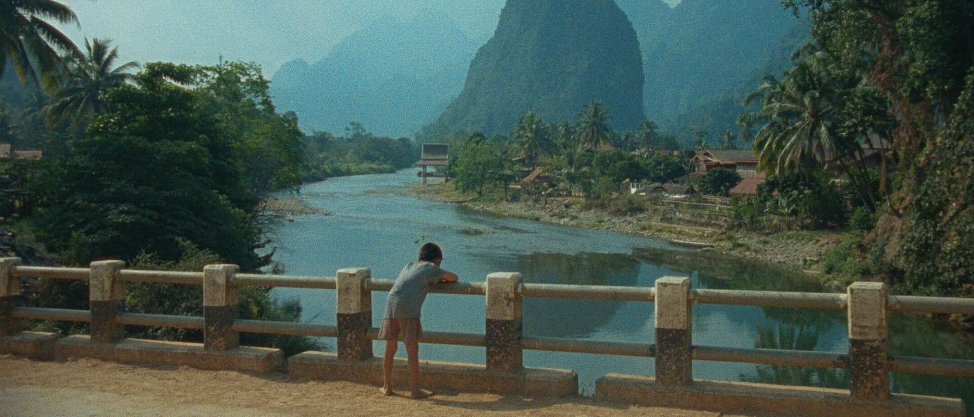 The main entrance of Chapter in the distance, with some plants in the foreground.